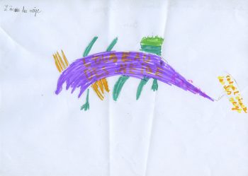Dessin de Quin