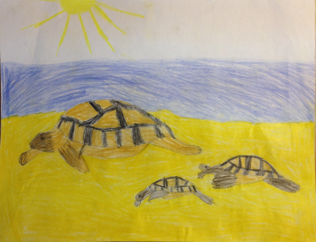 Dessin de Maya