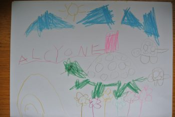 Dessin de Alcyone