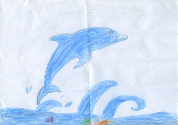 Dessin de Adelie