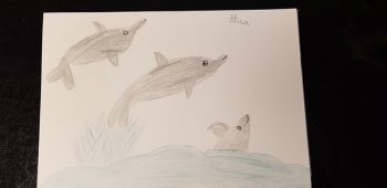 Dessin de Alicia