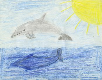 Dessin de Liou