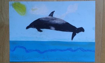 Dessin de Lucien