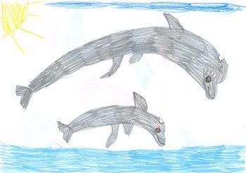 Dessin de Sara