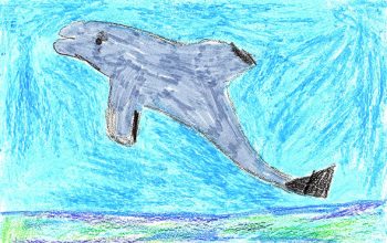 Dessin de Timothee