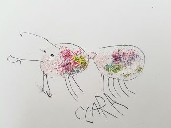 Dessin de Clara