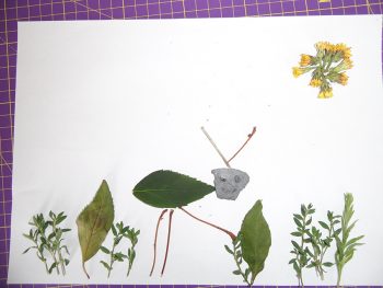 Dessin de Apolline