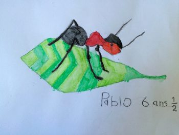 Dessin de Pablo