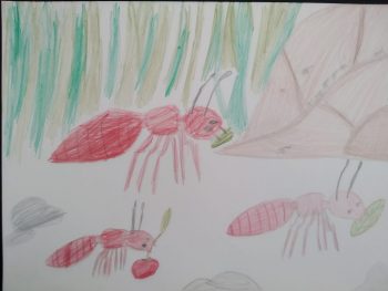 Dessin de Eden