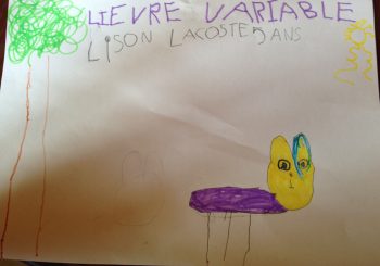 Dessin de Lison
