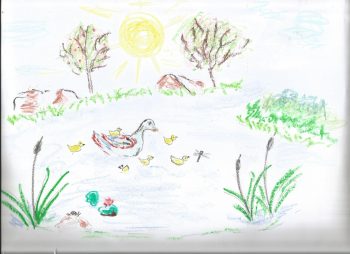 Dessin de Enza