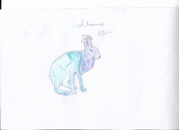 Dessin de Thomas