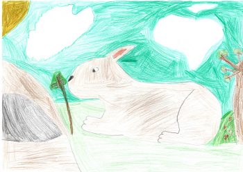 Dessin de Lucie