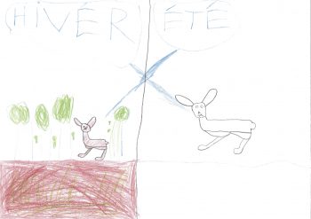 Dessin de Maks