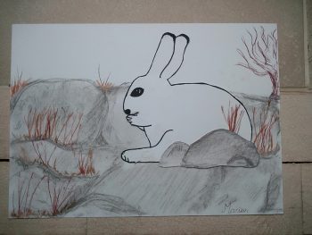 Dessin de Marius