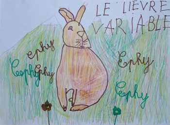 Dessin de Ephy