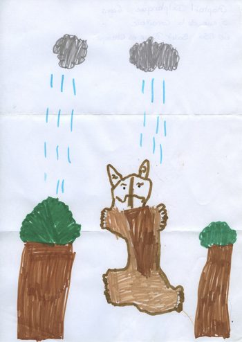 Dessin de Raphaël