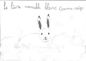 Dessin de Camille
