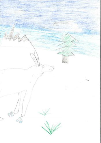 Dessin de Marion