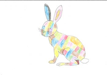Dessin de Robin