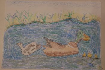 Dessin de Elio