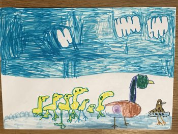 Dessin de Armand