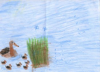 Dessin de Grâce