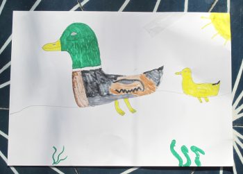 Dessin de jules