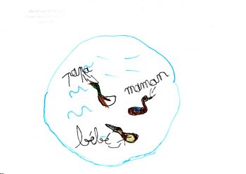 Dessin de Lucien