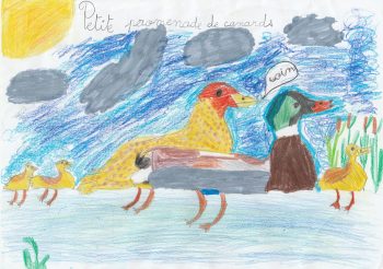 Dessin de Lucile