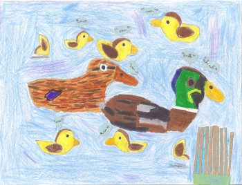 Dessin de Mirel