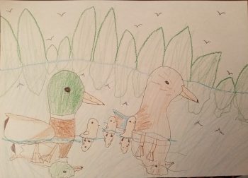 Dessin de Nayana