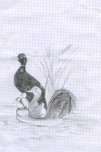Dessin de Tristan