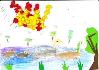 Dessin de Robin