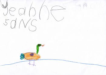 Dessin de jeanne