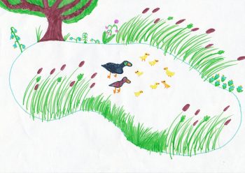 Dessin de Paola