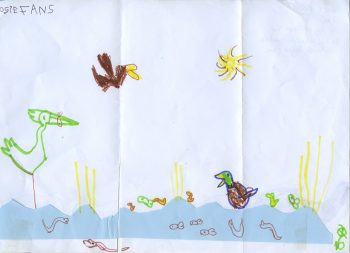 Dessin de Rosie