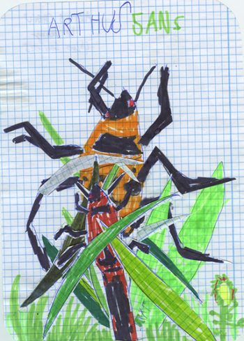 Dessin de Arthus