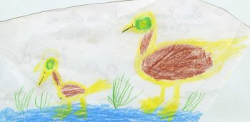 Dessin de Basile