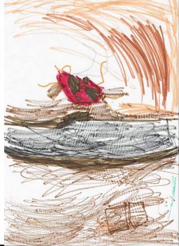 Dessin de Diego
