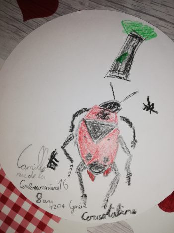 Dessin de Camille