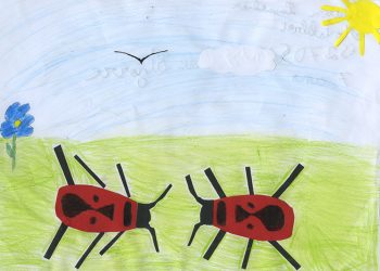 Dessin de Louison
