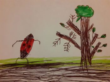 Dessin de Robin