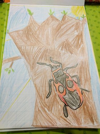 Dessin de Sacha