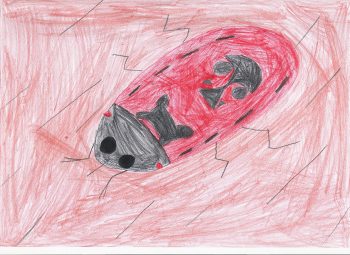 Dessin de constance