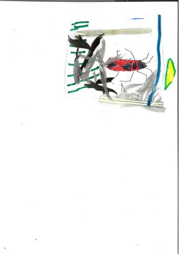 Dessin de Joaquim