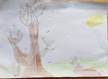 Dessin de Diane