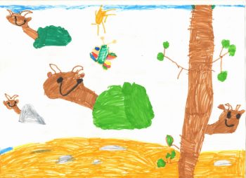 Dessin de Robin