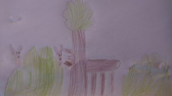 Dessin de Pierre-Loup
