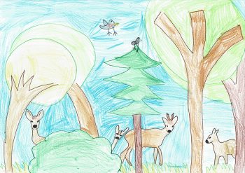 Dessin de Camille